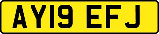 AY19EFJ