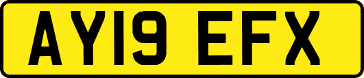 AY19EFX