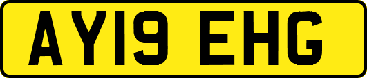 AY19EHG