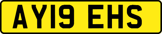 AY19EHS
