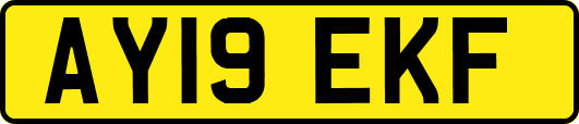 AY19EKF