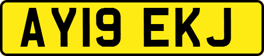 AY19EKJ