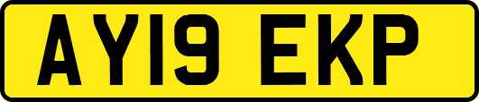 AY19EKP