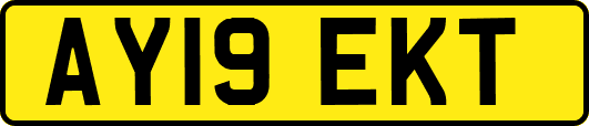 AY19EKT