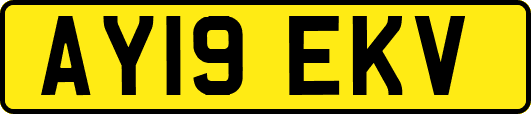 AY19EKV