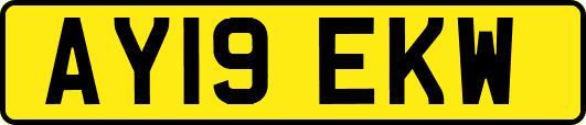 AY19EKW