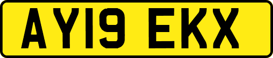 AY19EKX