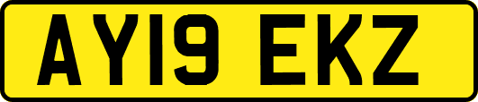 AY19EKZ