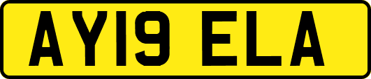 AY19ELA