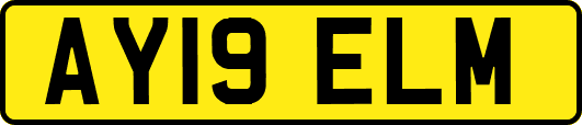 AY19ELM