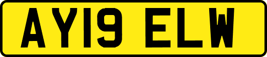 AY19ELW