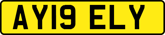 AY19ELY