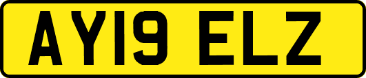 AY19ELZ