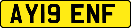 AY19ENF