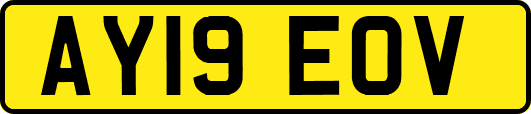 AY19EOV
