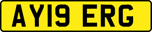 AY19ERG