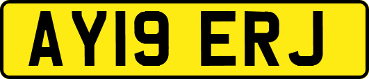 AY19ERJ