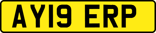 AY19ERP