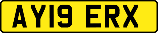 AY19ERX