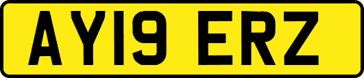 AY19ERZ