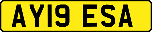 AY19ESA