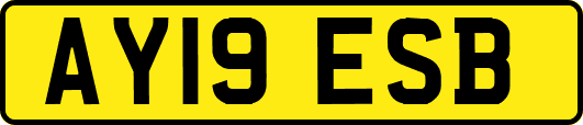 AY19ESB