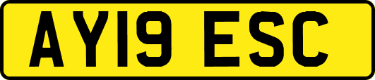 AY19ESC
