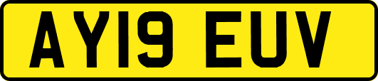 AY19EUV
