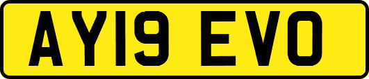 AY19EVO