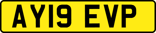 AY19EVP