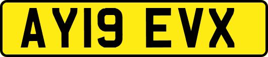 AY19EVX