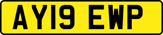 AY19EWP
