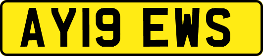 AY19EWS