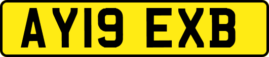 AY19EXB