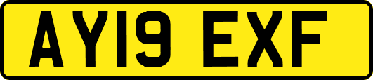 AY19EXF