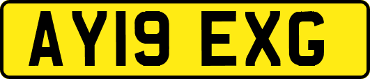 AY19EXG