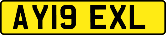 AY19EXL