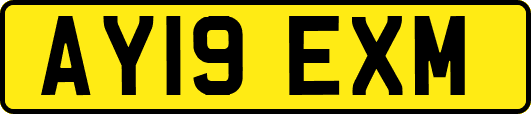AY19EXM