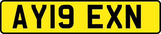 AY19EXN