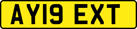 AY19EXT