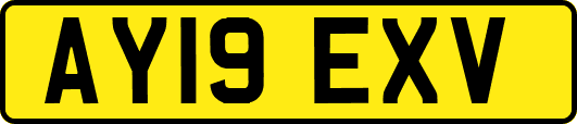 AY19EXV