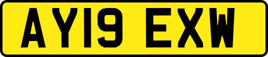AY19EXW