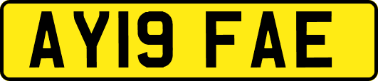AY19FAE