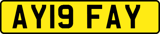 AY19FAY