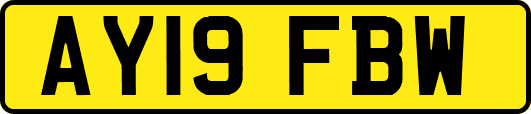 AY19FBW