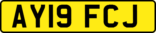 AY19FCJ