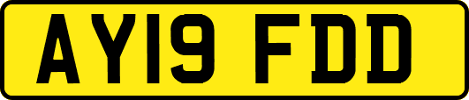AY19FDD