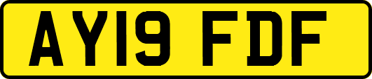 AY19FDF