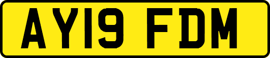 AY19FDM