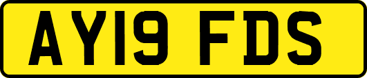 AY19FDS